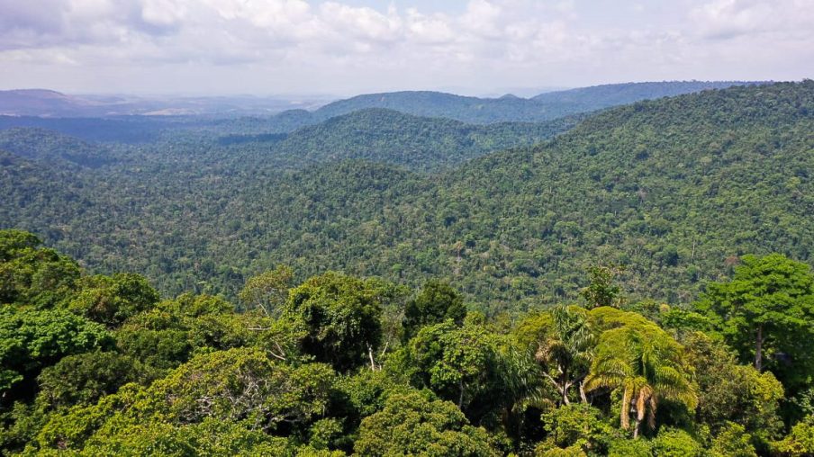 Entenda o que é o mercado de carbono, instrumento que o governo busca regulamentar