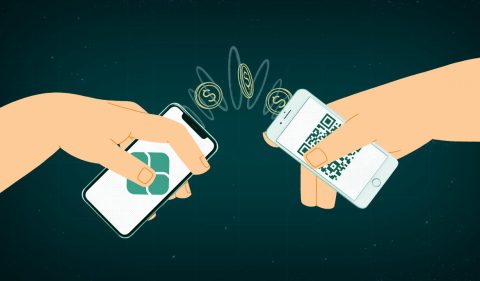 - Ilustração: Renata Miwa