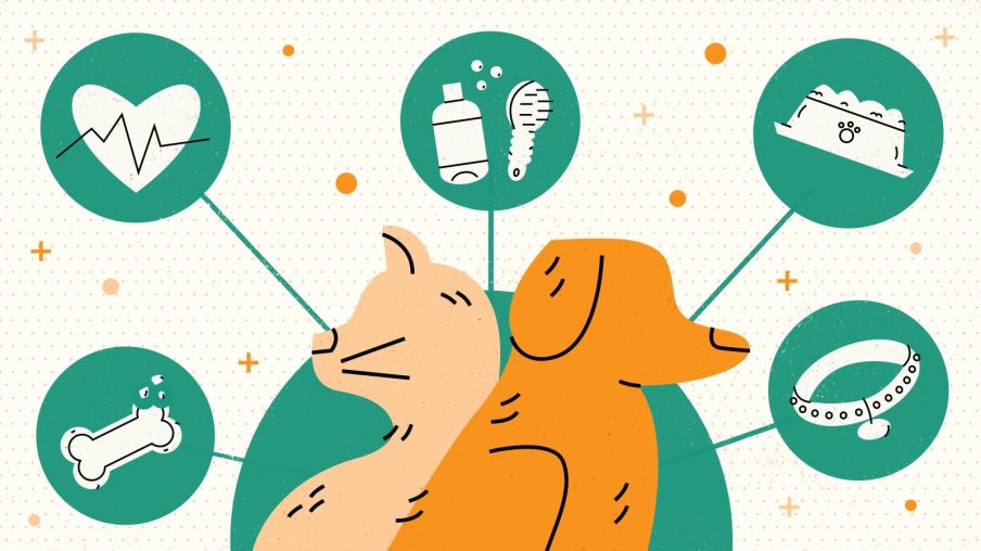 Com resultado fraco, Petz (PETZ3) ainda é a ação queridinha do mercado?