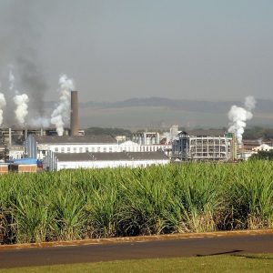 Foto de uma usina da sucroalcooleira São Martinho (SMTO3), cujas ações no Ibovespa lideraram o bloco de altas do índice na semana entre 10 a 14 de junho de 2024