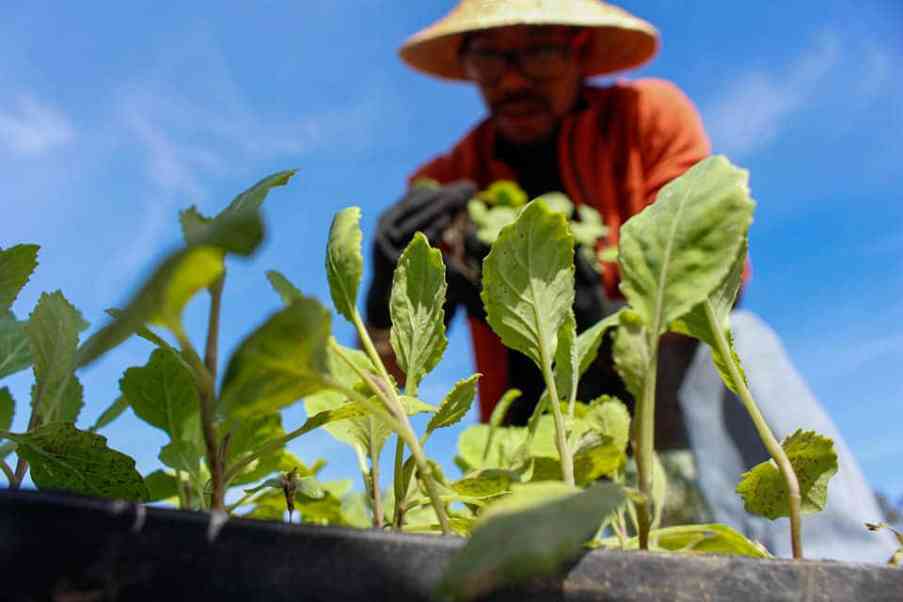 Vendas do varejo alimentar crescem 8% em julho comparadas ao mesmo mês de 2021, diz Abras