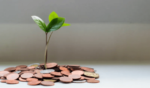 Rendimento de LCIs e LCAs é afetado por condições de mercado, prazo e emissor. Foto: Freepik