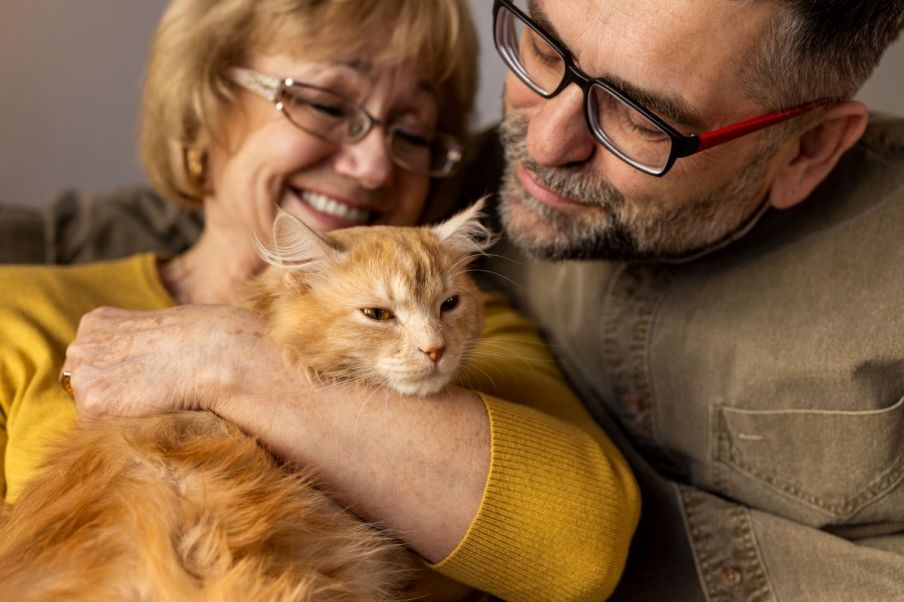 Imagem para a matéria sobre gastos com pet no Imposto de Renda em que aparecem um homem branco de óculos e uma mulher branca de óculos. A mulher está segurando um gato de cor caramelo.