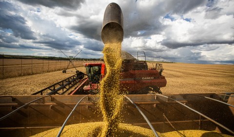 Empresas com receitas dolarizadas, como as de commodities, sofrem menos com uma desaceleração econômica local e ainda podem se beneficiar da valorização do dólar frente ao real. (Foto: Wenderson Araújo/Trilux/CNA)