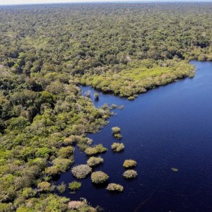 Projeto quer barrar exploração de petróleo e gás na Amazônia
